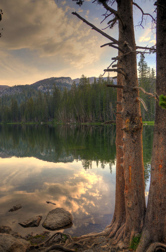 A photo overlooking Lake Mamie at Mammoth Mountain, California. The lake is surrounded by a forest of trees, with the mountains in the background. 