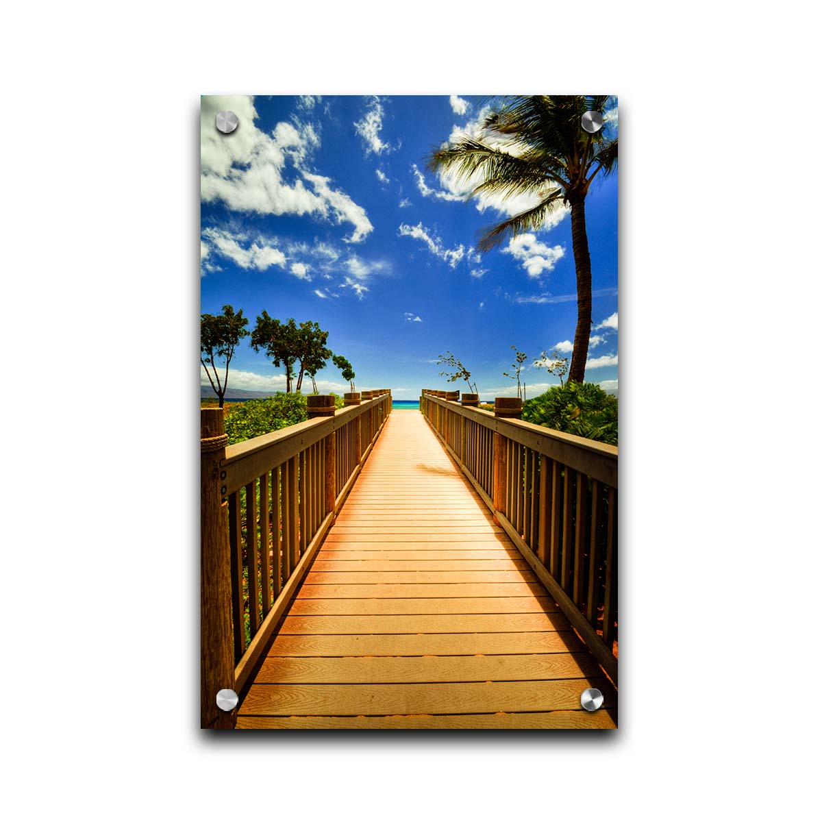 A photo of a boardwalk in Maui, Hawaiʻi, looking down the wood path to the sea. It is flanked by shrubbery, palms, and other tropical trees. Printed on acrylic.