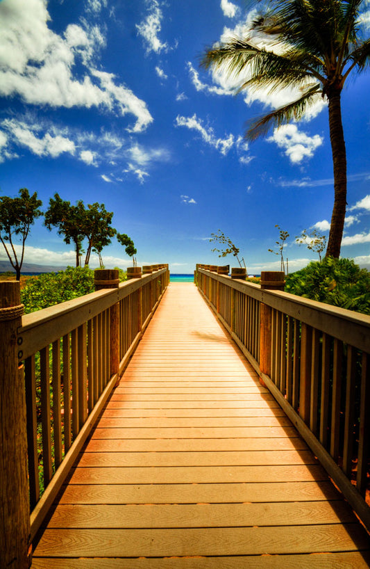 A photo of a boardwalk in Maui, Hawaiʻi, looking down the wood path to the sea. It is flanked by shrubbery, palms, and other tropical trees. 