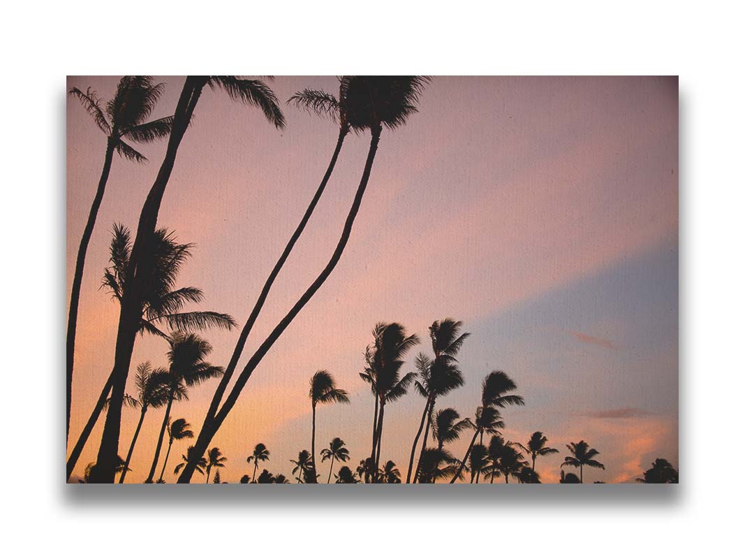 A photo of many palm trees silhouetted against a colorful sunrise reflecting pinks and yellows off the clouds. Printed on canvas.