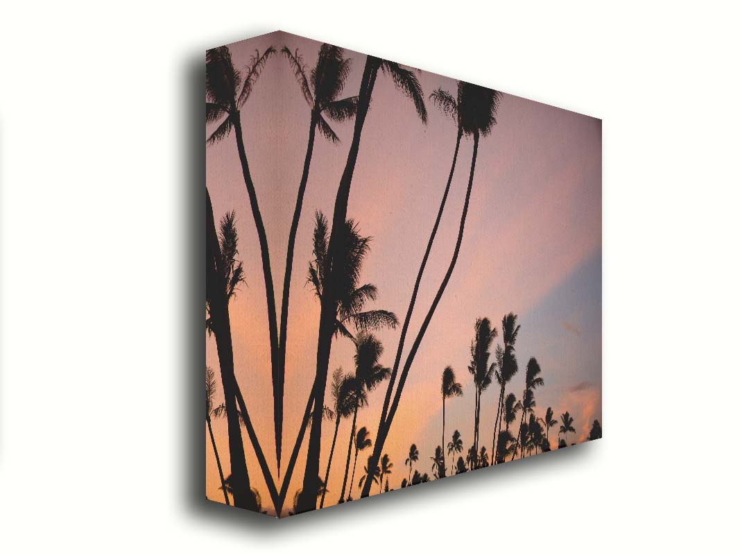 A photo of many palm trees silhouetted against a colorful sunrise reflecting pinks and yellows off the clouds. Printed on canvas.