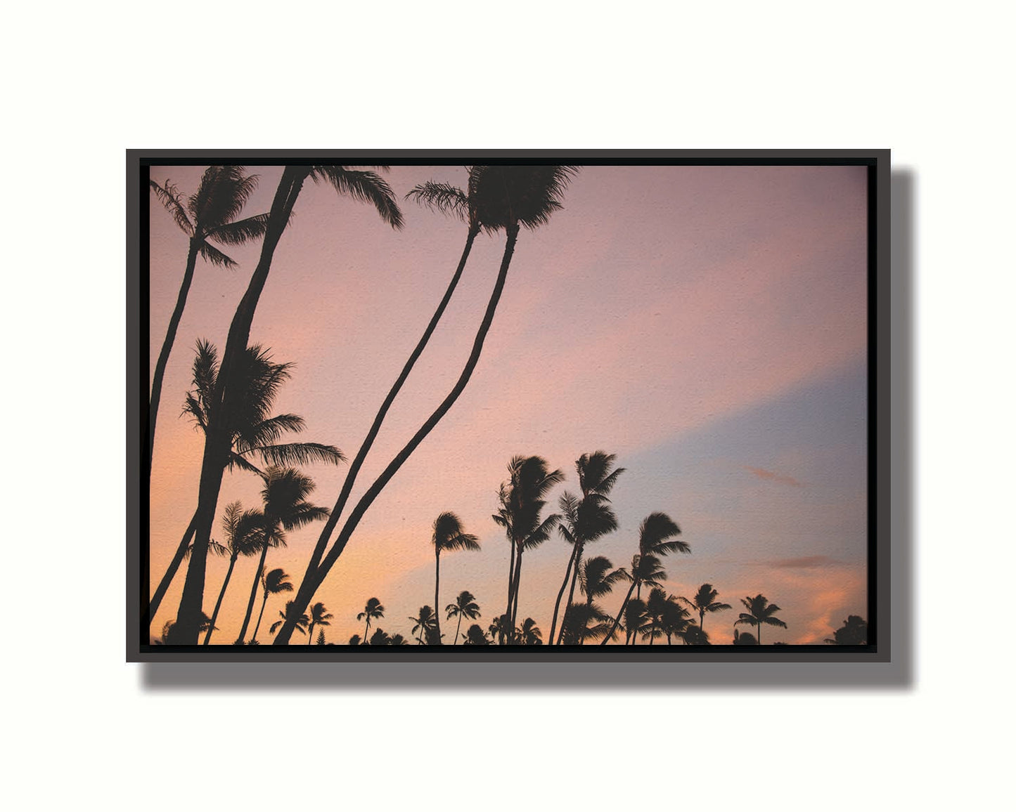 A photo of many palm trees silhouetted against a colorful sunrise reflecting pinks and yellows off the clouds. Printed on canvas in a float frame.