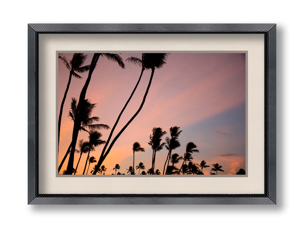 A photo of many palm trees silhouetted against a colorful sunrise reflecting pinks and yellows off the clouds. Printed on paper, matted, and framed.