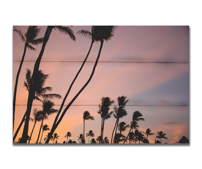 A photo of many palm trees silhouetted against a colorful sunrise reflecting pinks and yellows off the clouds. Printed on a box board.