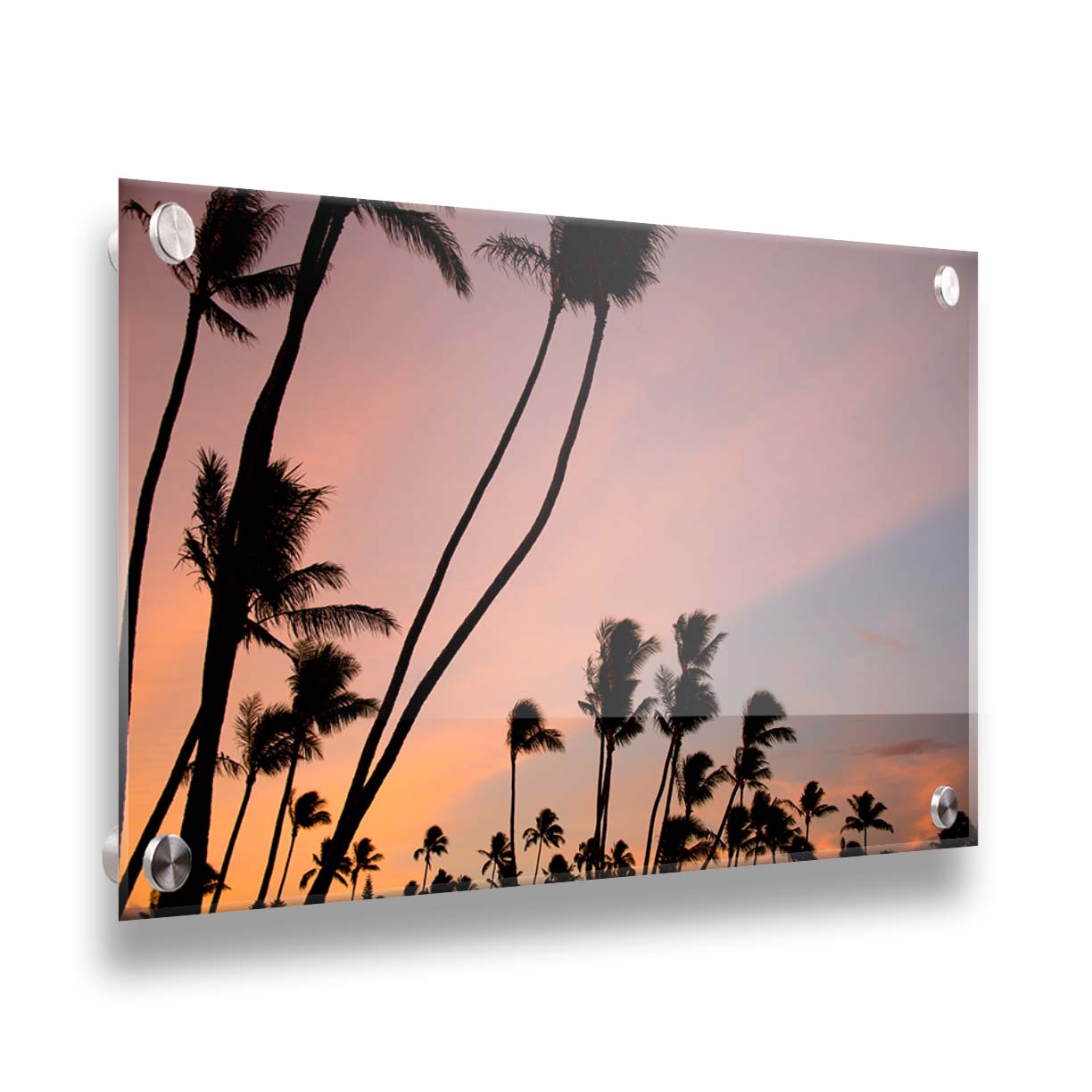 A photo of many palm trees silhouetted against a colorful sunrise reflecting pinks and yellows off the clouds. Printed on acrylic.