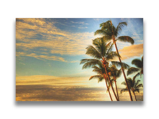 Photograph of palm trees set against the morning sky by the orange hues of the sunrise. Printed on canvas.