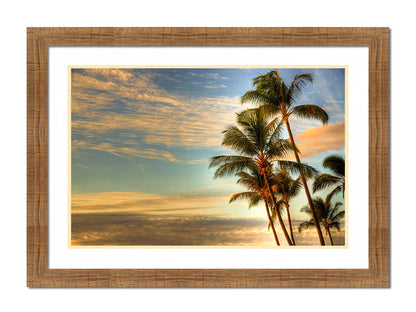 Photograph of palm trees set against the morning sky by the orange hues of the sunrise. Printed on paper, matted, and framed.