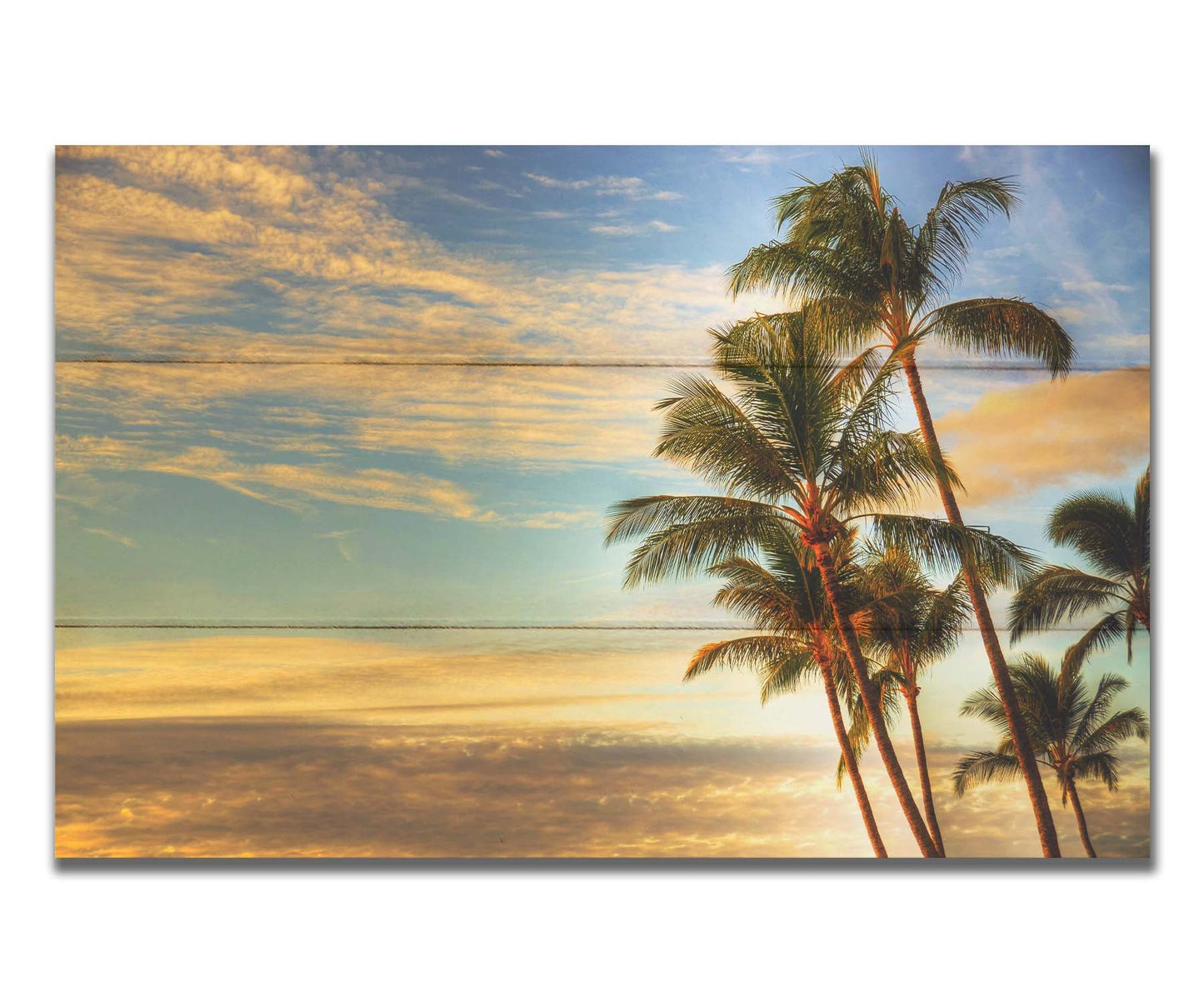 Photograph of palm trees set against the morning sky by the orange hues of the sunrise. Printed on a box board.