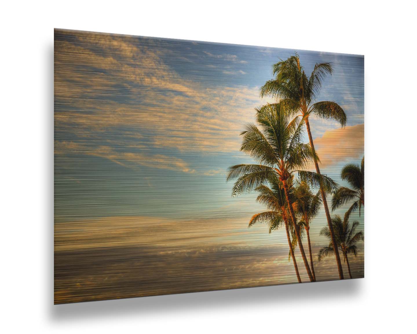 Photograph of palm trees set against the morning sky by the orange hues of the sunrise. Printed on metal.