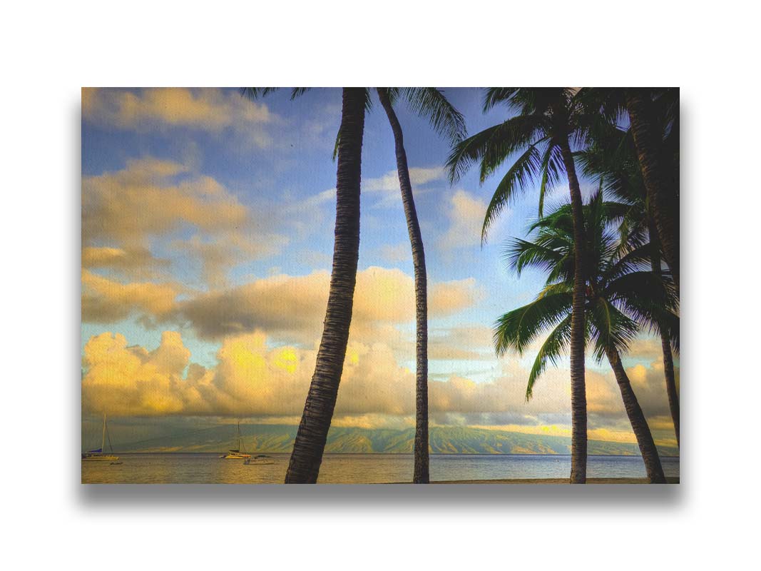 A photo of a collection of palm trees, backed by a view of the sea and distance mountainous islands lit with yellow from the low sun. Printed on canvas.