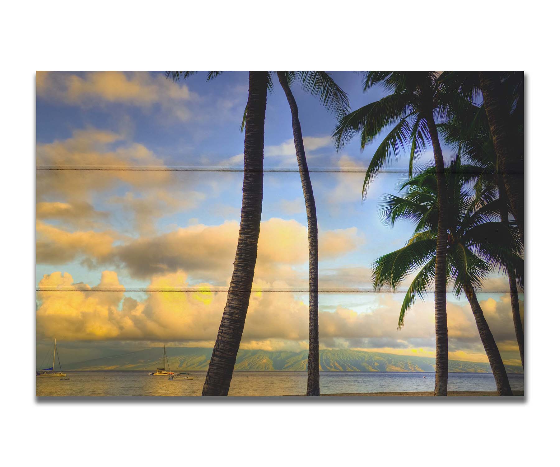 A photo of a collection of palm trees, backed by a view of the sea and distance mountainous islands lit with yellow from the low sun. Printed on a box board.