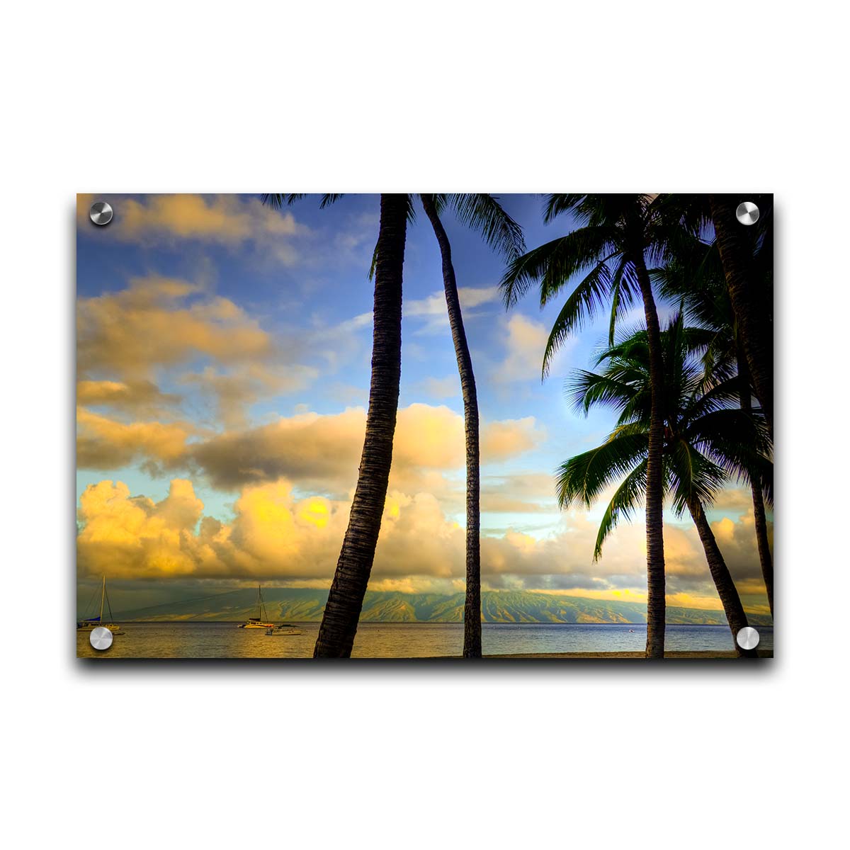 A photo of a collection of palm trees, backed by a view of the sea and distance mountainous islands lit with yellow from the low sun. Printed on acrylic.