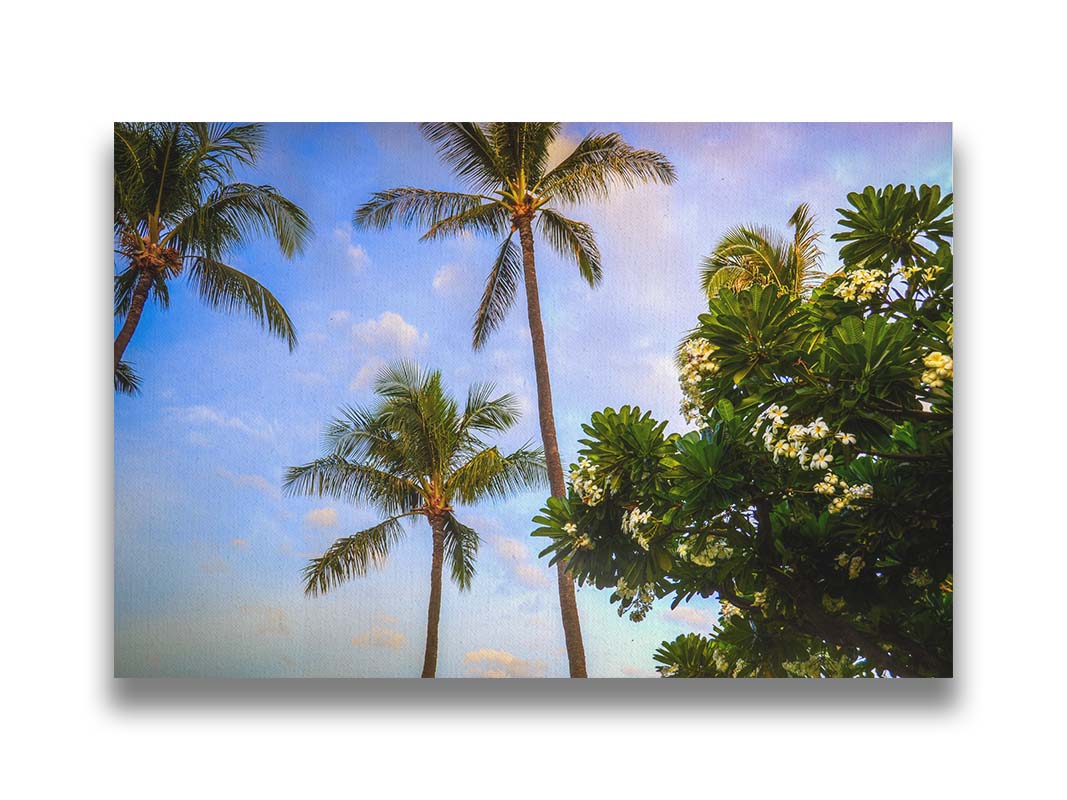 A photo looking up at palm trees and plumeria plants set against a blue sky. Printed on canvas.