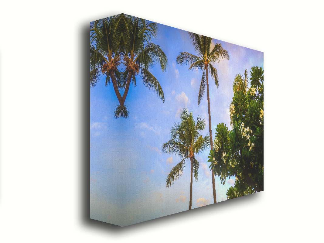 A photo looking up at palm trees and plumeria plants set against a blue sky. Printed on canvas.