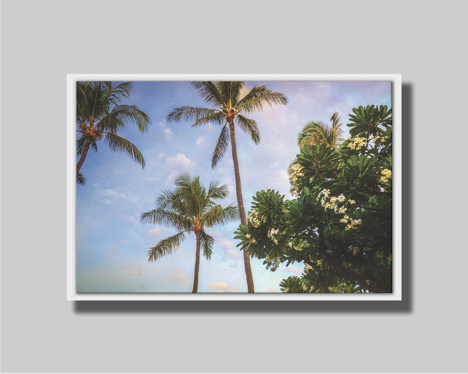 A photo looking up at palm trees and plumeria plants set against a blue sky. Printed on canvas in a float frame.