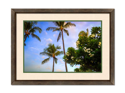 A photo looking up at palm trees and plumeria plants set against a blue sky. Printed on paper, matted, and framed.