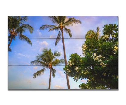 A photo looking up at palm trees and plumeria plants set against a blue sky. Printed on a box board.