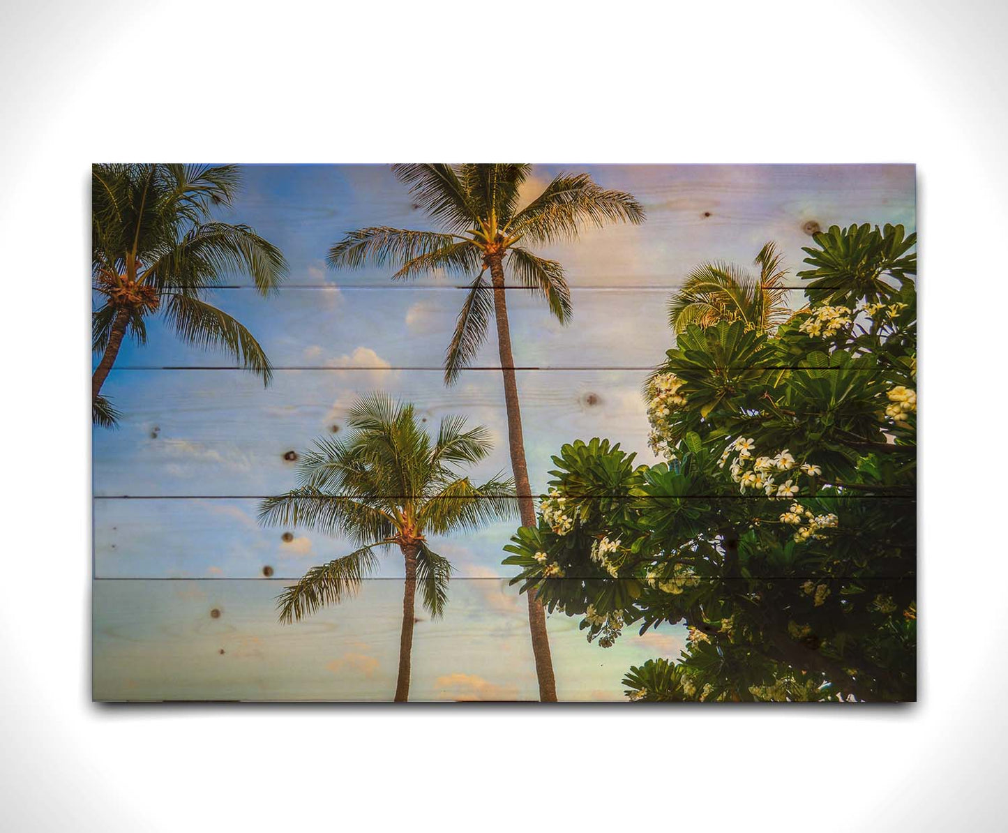 A photo looking up at palm trees and plumeria plants set against a blue sky. Printed on a wood pallet.