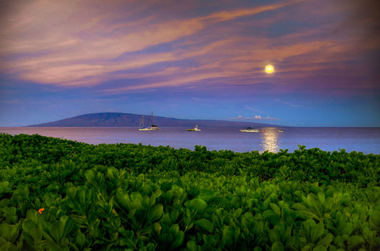 A photo overlooking the sea off the coast of Hawaiʻi as the moon sets. The foreground is filled with greenery, and ships can be seen sailing on the waters with mountains in the distance.