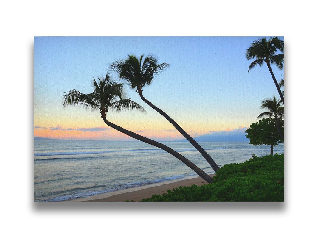 A photo of palm trees silhouetted against the sunrise sky of Hawaiʻi. Printed on canvas.