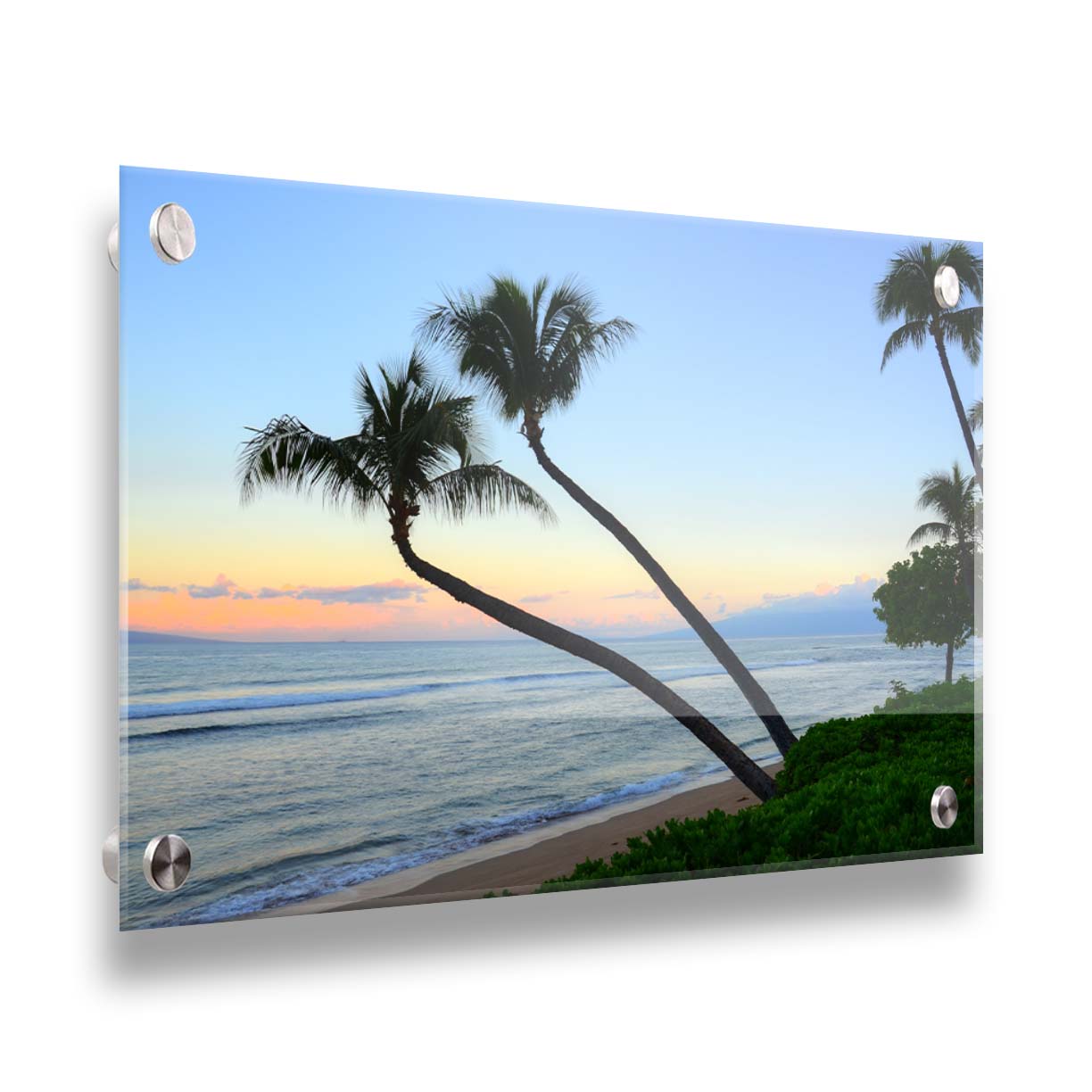 A photo of palm trees silhouetted against the sunrise sky of Hawaiʻi. Printed on acrylic.