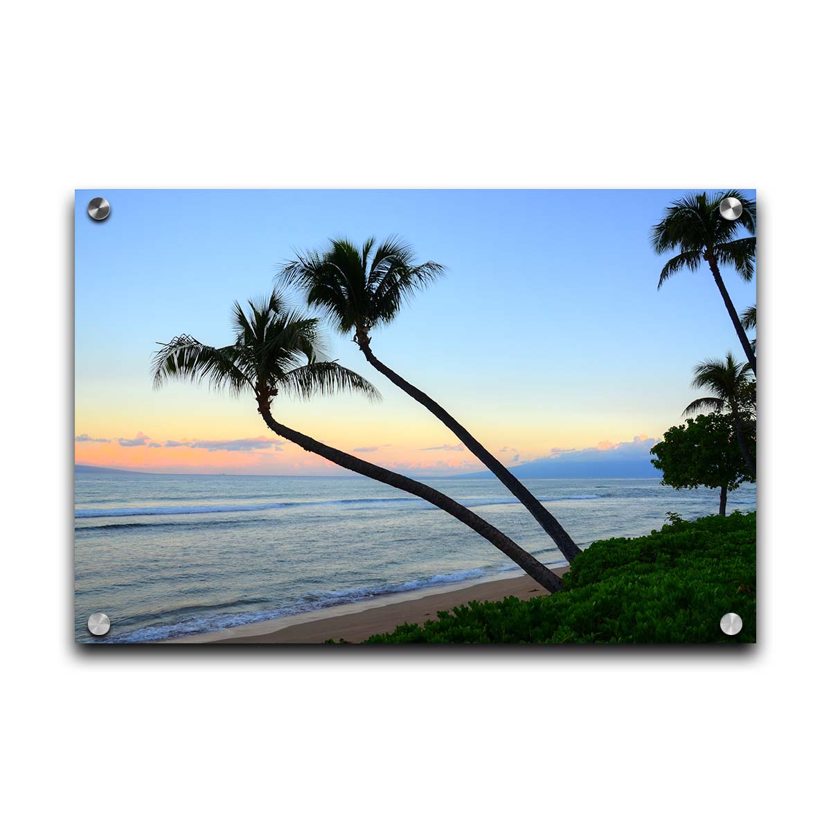 A photo of palm trees silhouetted against the sunrise sky of Hawaiʻi. Printed on acrylic.