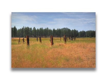 A photo of the old remains of a wooden fence among grasses. A forest can be seen in the background. Printed on canvas.