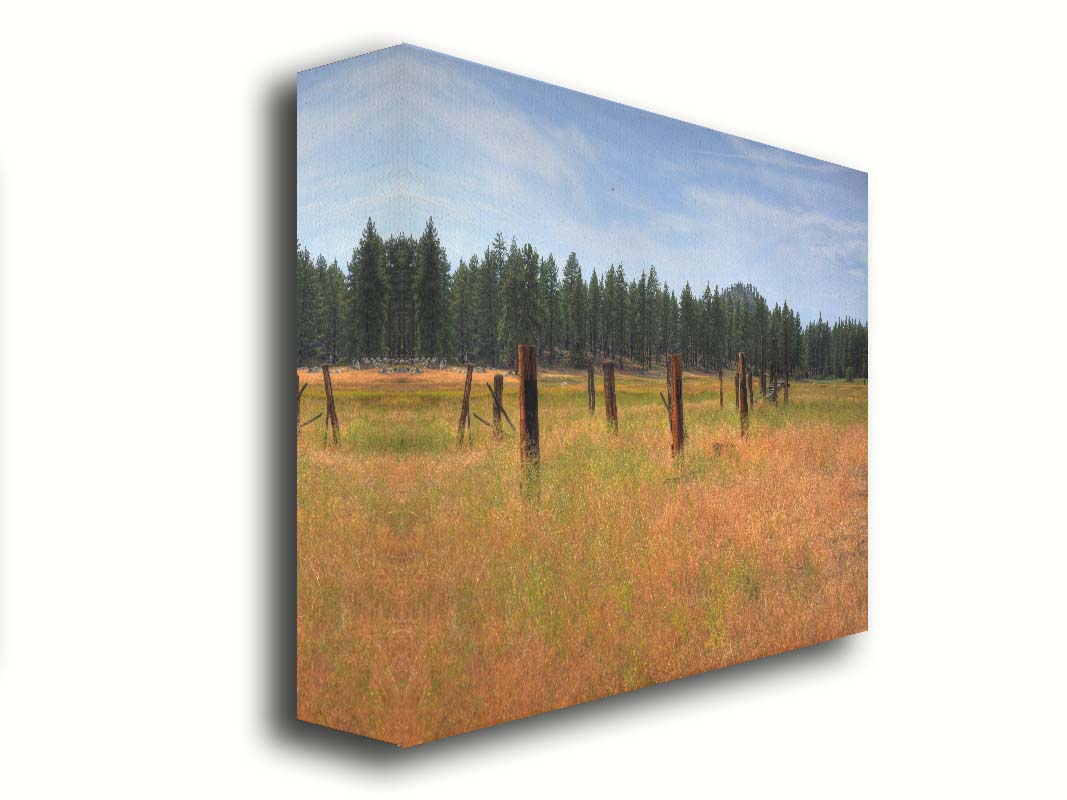 A photo of the old remains of a wooden fence among grasses. A forest can be seen in the background. Printed on canvas.