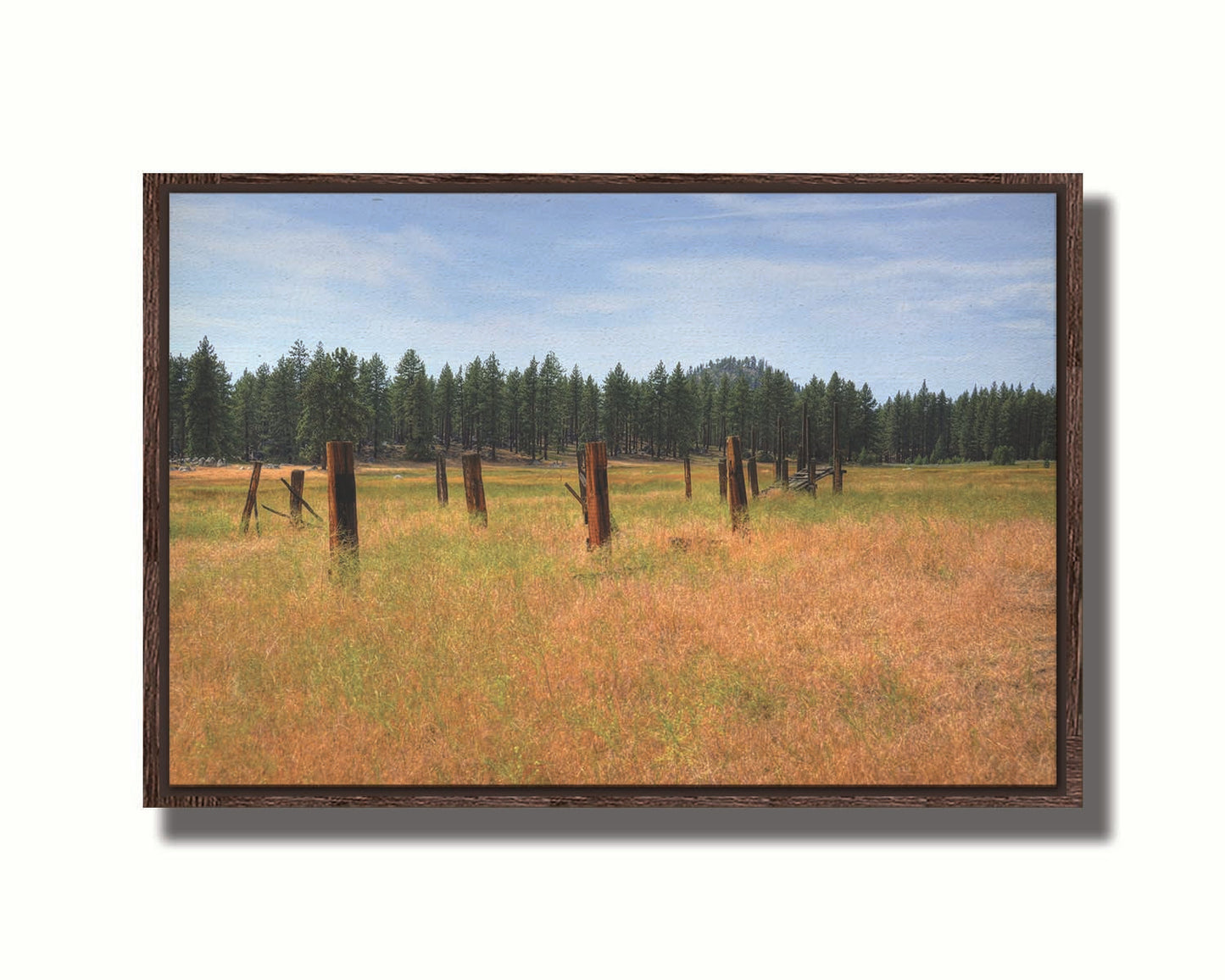 A photo of the old remains of a wooden fence among grasses. A forest can be seen in the background. Printed on canvas in a float frame.