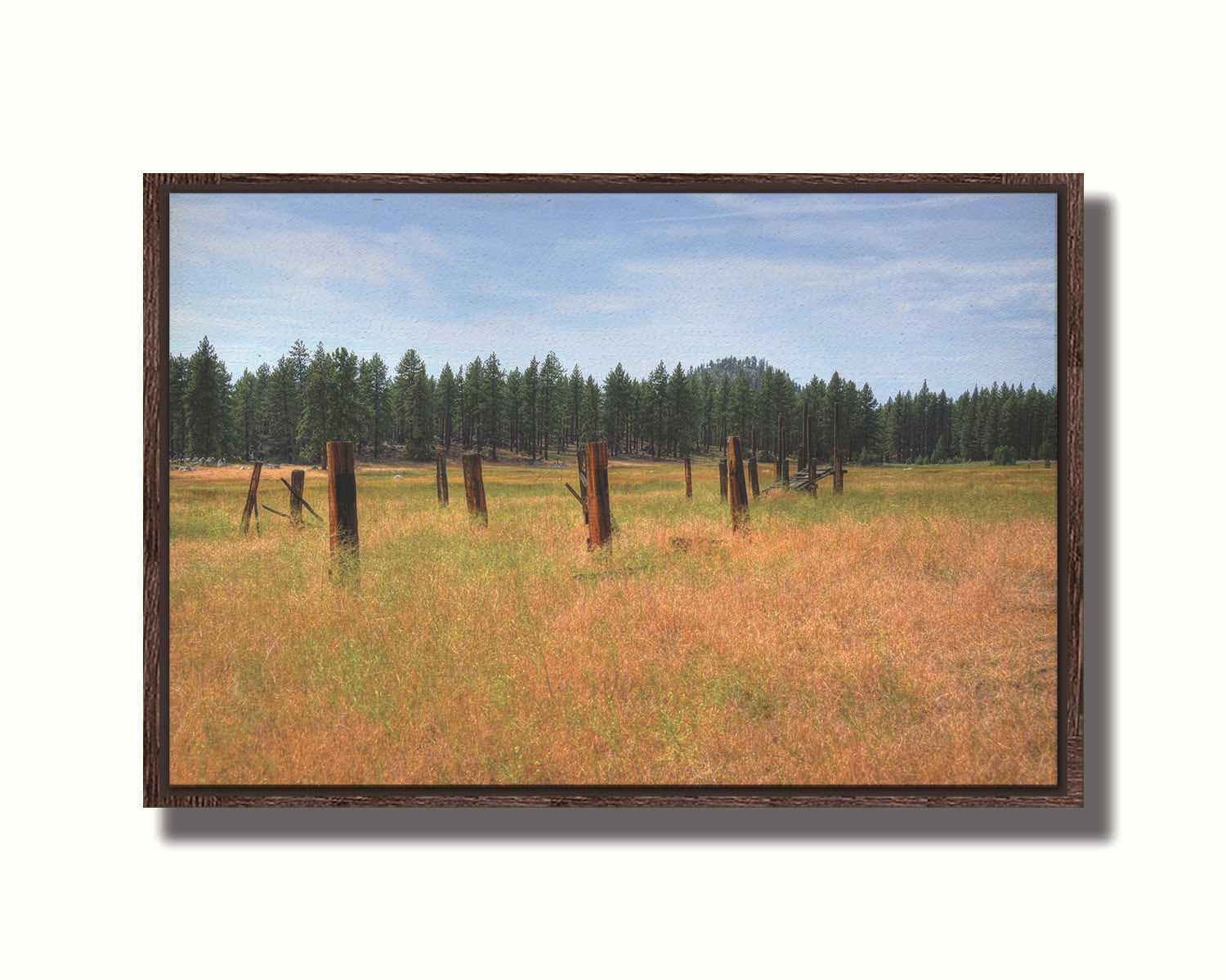 A photo of the old remains of a wooden fence among grasses. A forest can be seen in the background. Printed on canvas in a float frame.