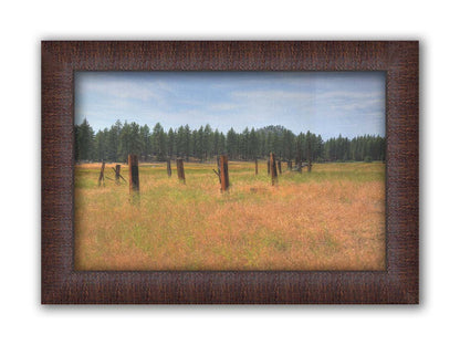 A photo of the old remains of a wooden fence among grasses. A forest can be seen in the background. Printed on canvas and framed.