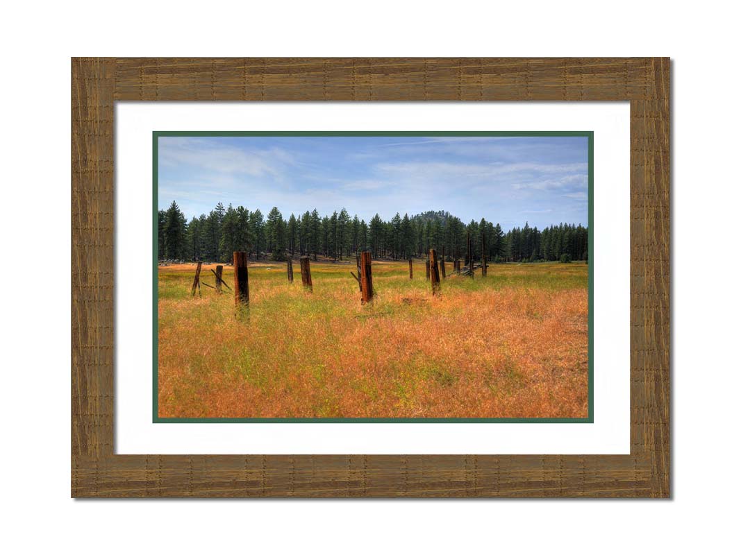 A photo of the old remains of a wooden fence among grasses. A forest can be seen in the background. Printed on paper, matted, and framed.