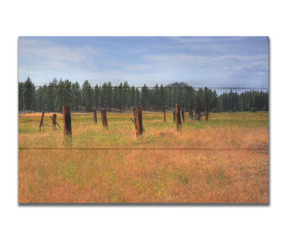 A photo of the old remains of a wooden fence among grasses. A forest can be seen in the background. Printed on a box board.