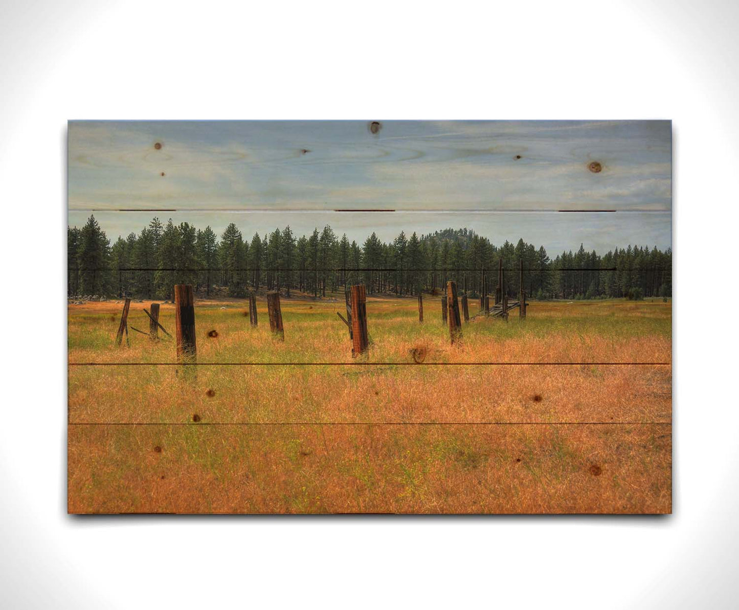 A photo of the old remains of a wooden fence among grasses. A forest can be seen in the background. Printed on a wood pallet.