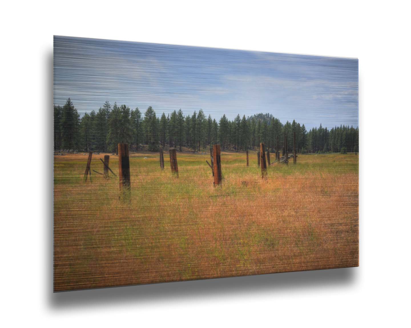 A photo of the old remains of a wooden fence among grasses. A forest can be seen in the background. Printed on metal.