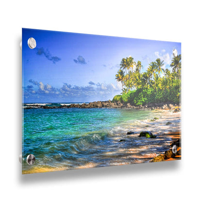 A photo of Laniākea beach. The water is a vibrant blue-green, and the stony beach circles around in the background where lush foliage and palm trees grow under a bright blue sky. Printed on acrylic.