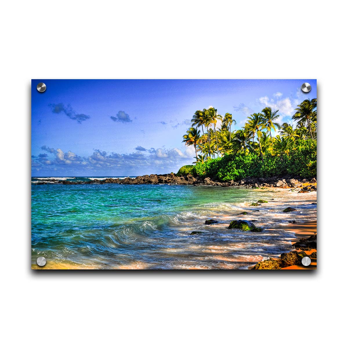 A photo of Laniākea beach. The water is a vibrant blue-green, and the stony beach circles around in the background where lush foliage and palm trees grow under a bright blue sky. Printed on acrylic.