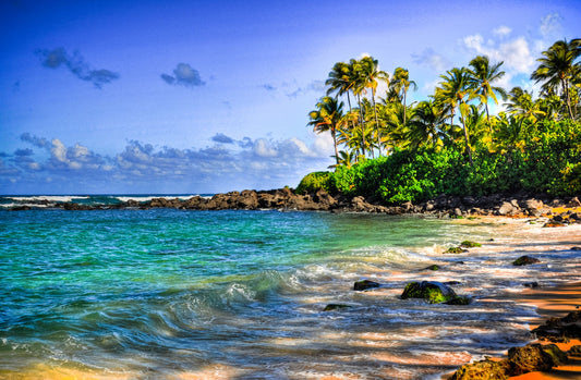 A photo of Laniākea beach. The water is a vibrant blue-green, and the stony beach circles around in the background where lush foliage and palm trees grow under a bright blue sky.