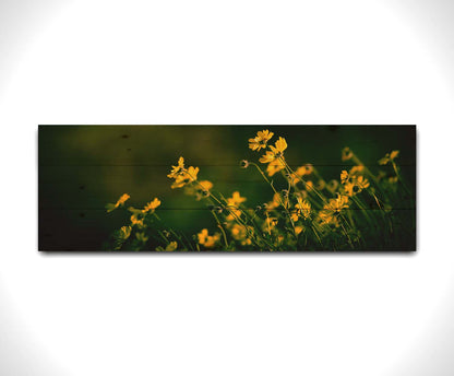 A panoramic photo of a bunch of small, yellow wildflowers in high contrast to a dark green background and vignette. Printed on a wood pallet.