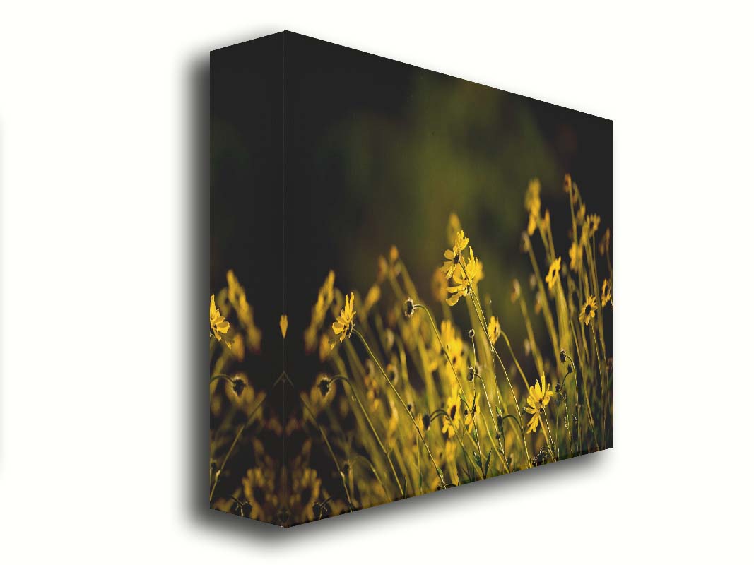 A photo of a bunch of small, yellow wildflowers in high contrast to a dark green background and vignette. Printed on canvas.