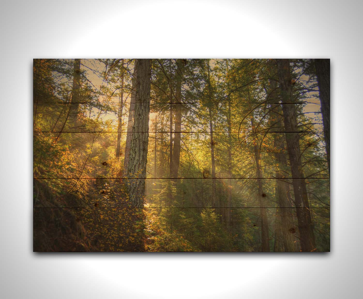 A photo of the McArthur-Burney Memorial Falls State Park forest, focusing on the sunlight beaming through the trees. Printed on a wood pallet.