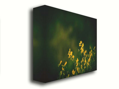 A photo of a bunch of small, yellow wildflowers in high contrast to a dark green background and vignette. Printed on canvas.