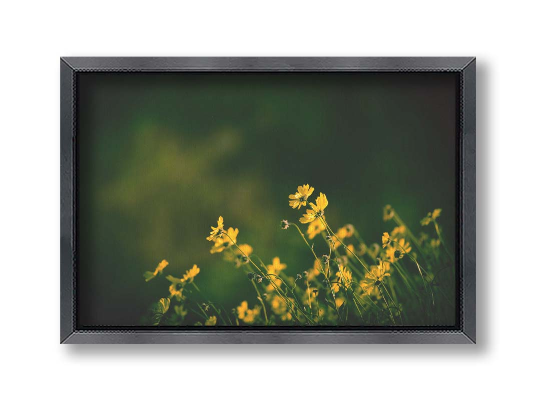 A photo of a bunch of small, yellow wildflowers in high contrast to a dark green background and vignette. Printed on canvas and framed.