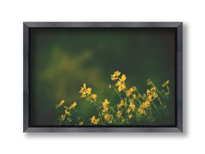 A photo of a bunch of small, yellow wildflowers in high contrast to a dark green background and vignette. Printed on canvas and framed.