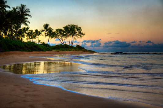 A photo of Keawakapu Beach at sunrise, with palms and mountains in the distance. 