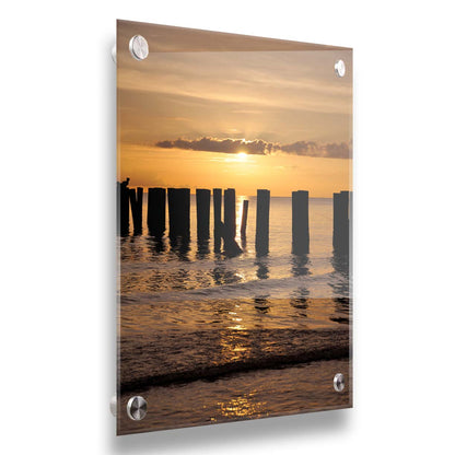 A photo of the remains of the Naples Beach pier in Florida. The sun is low on the horison and silhouettes the pillars in the sea. Printed on acrylic.