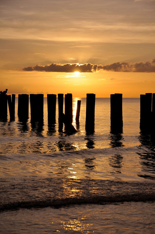 A photo of the remains of the Naples Beach pier in Florida. The sun is low on the horizon and silhouettes the pillars in the sea.