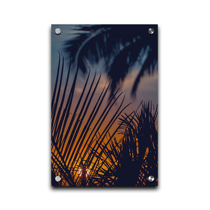 A photo of silhouetted palms at sunset. Printed on acrylic.