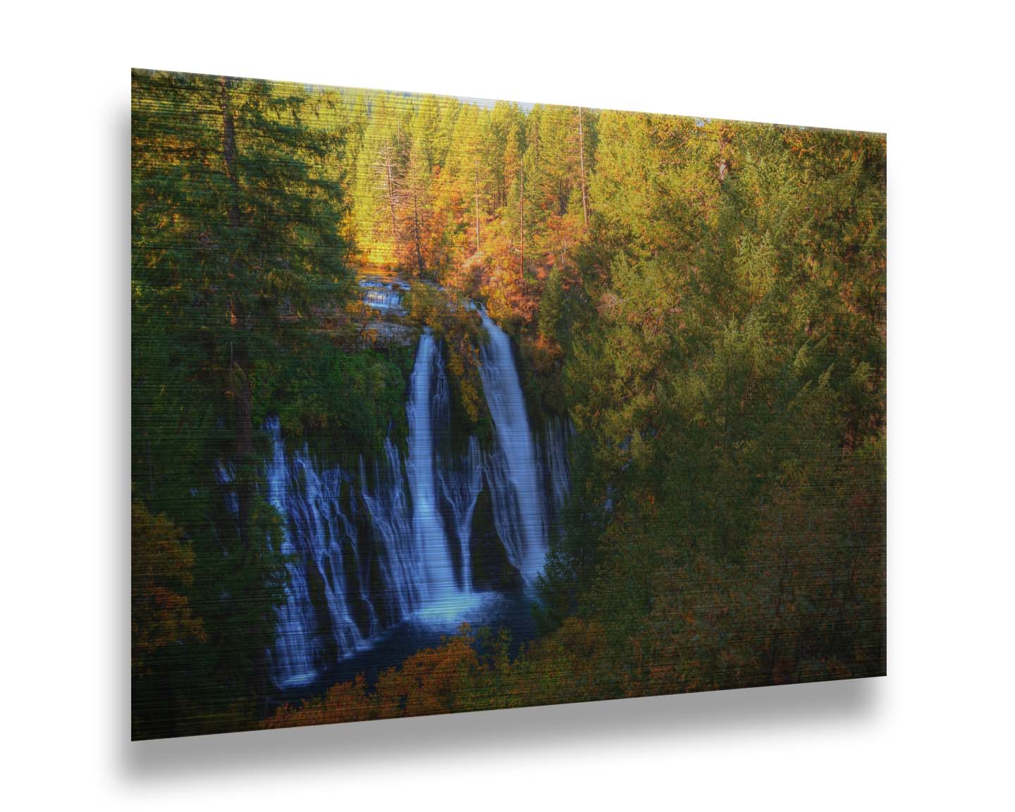 A photograph of Burney Falls in California. Taken from above and away from the falls, the photo gives a full view of the water pouring down the cliff face. The surrounding forest is beginning to turn orange for autumn. Printed on metal.