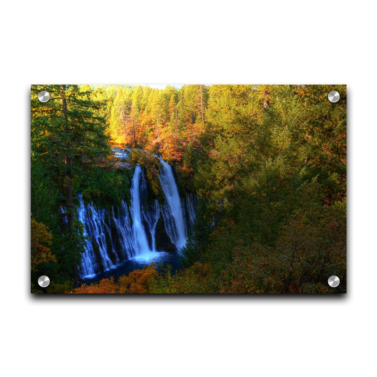 A photograph of Burney Falls in California. Taken from above and away from the falls, the photo gives a full view of the water pouring down the cliff face. The surrounding forest is beginning to turn orange for autumn. Printed on acrylic.